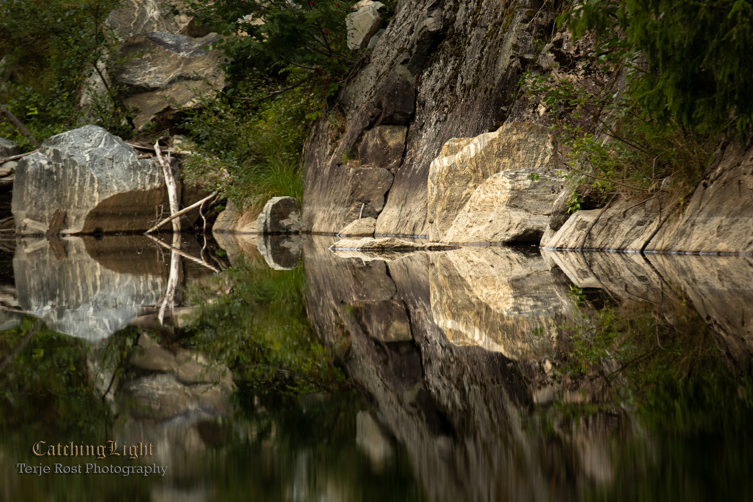 River reflection II